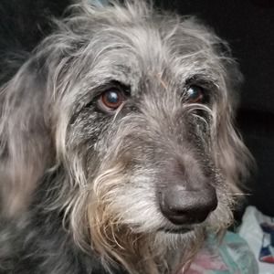 Meet your Posher, Elaine